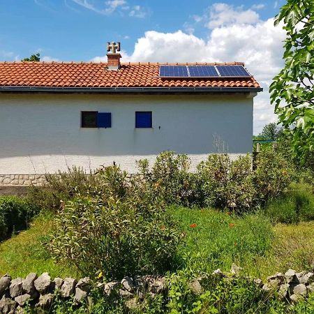 シロ Ecohouse Olivegliaヴィラ エクステリア 写真