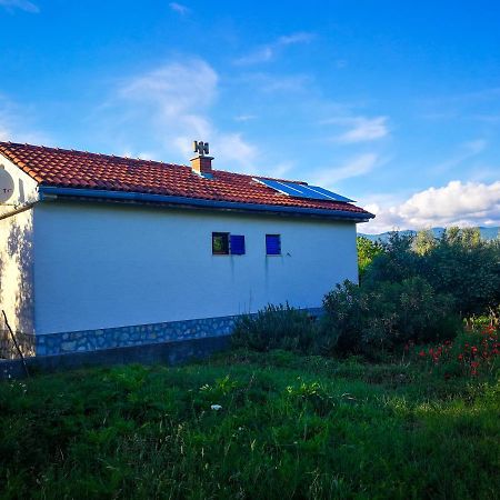 シロ Ecohouse Olivegliaヴィラ エクステリア 写真